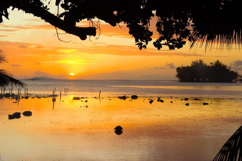 Bungalow Tiarii, Avec Acces Direct A Une Plage Privee Tevaitoa Bagian luar foto